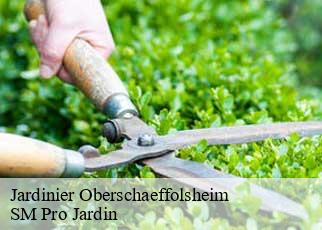 Jardinier oberschaeffolsheim-67203 SM Pro Jardin