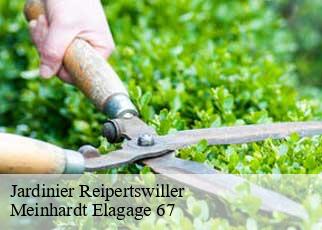 Jardinier  reipertswiller-67340 Meinhardt Elagage 67 