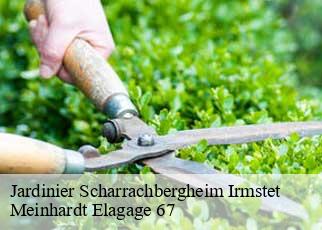 Jardinier  scharrachbergheim-irmstet-67310 Meinhardt Elagage 67 