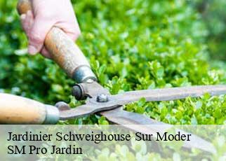 Jardinier schweighouse-sur-moder-67590 SM Pro Jardin