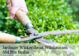 Jardinier wickersheim-wilshaussen-67270 SM Pro Jardin