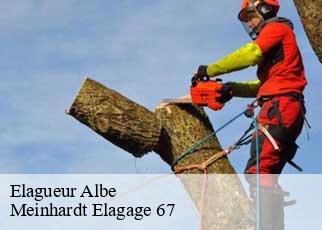 Elagueur  albe-67220 Meinhardt Elagage 67 