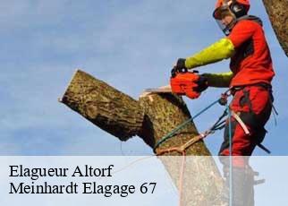Elagueur  altorf-67120 Meinhardt Elagage 67 