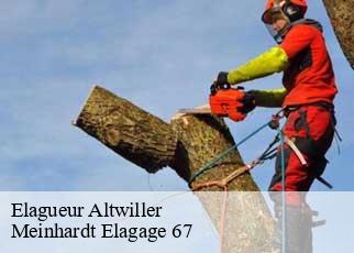 Elagueur  altwiller-67260 Meinhardt Elagage 67 