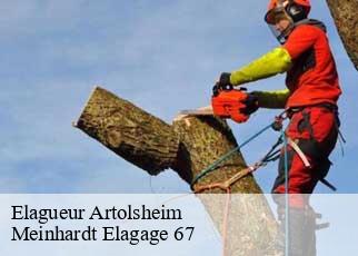 Elagueur  artolsheim-67390 Meinhardt Elagage 67 