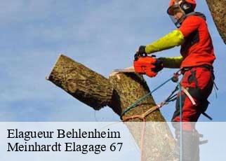 Elagueur  behlenheim-67370 Meinhardt Elagage 67 