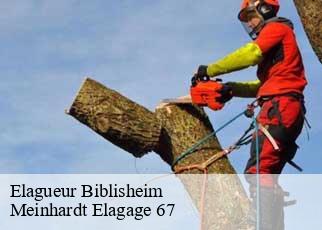 Elagueur  biblisheim-67360 Meinhardt Elagage 67 