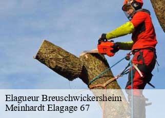 Elagueur  breuschwickersheim-67112 Meinhardt Elagage 67 