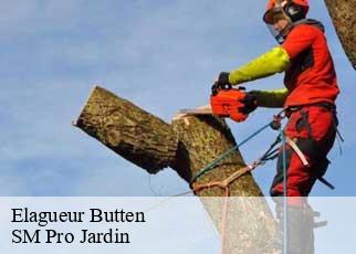 Elagueur  butten-67430 SM Pro Jardin
