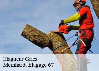Elagueur  gries-67240 Meinhardt Elagage 67 