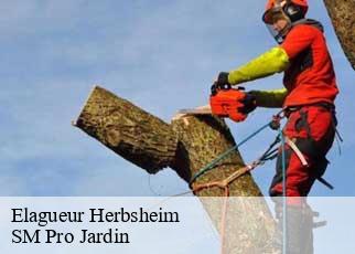 Elagueur  herbsheim-67230 SM Pro Jardin