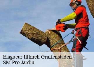 Elagueur illkirch-graffenstaden-67400 SM Pro Jardin