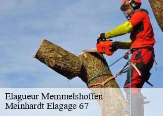 Elagueur  memmelshoffen-67250 Meinhardt Elagage 67 