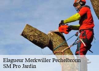 Elagueur merkwiller-pechelbronn-67250 SM Pro Jardin