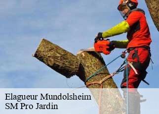 Elagueur mundolsheim-67450 SM Pro Jardin
