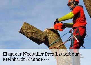 Elagueur  neewiller-pres-lauterbour-67630 Meinhardt Elagage 67 