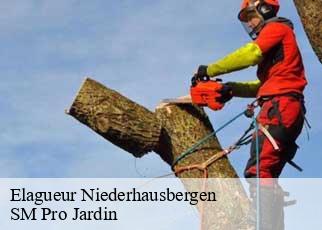Elagueur niederhausbergen-67207 SM Pro Jardin