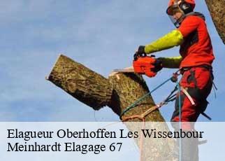 Elagueur  oberhoffen-les-wissenbour-67160 Meinhardt Elagage 67 