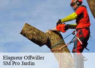 Elagueur offwiller-67340 SM Pro Jardin