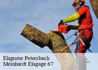 Elagueur  petersbach-67290 Meinhardt Elagage 67 