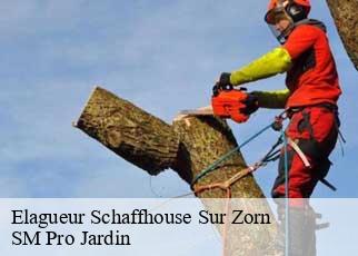 Elagueur  schaffhouse-sur-zorn-67270 SM Pro Jardin