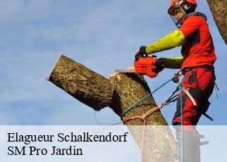 Elagueur schalkendorf-67350 SM Pro Jardin