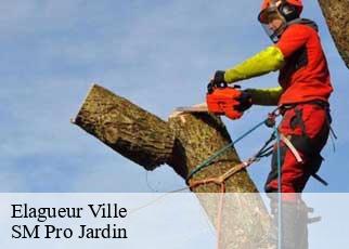 Elagueur ville-67220 SM Pro Jardin