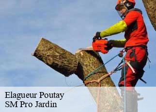 Elagueur poutay-67420 SM Pro Jardin
