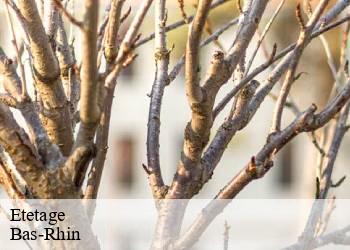 Etetage Bas-Rhin