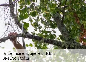 Entreprise élagage 67 Bas-Rhin SM Pro Jardin