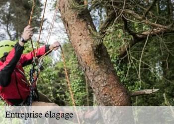 Entreprise élagage