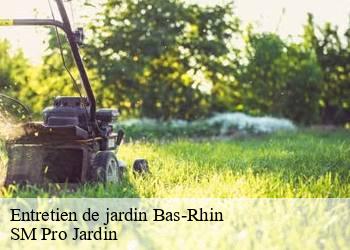 Entretien de jardin 67 Bas-Rhin SM Pro Jardin
