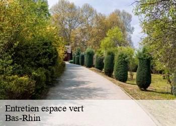 Entretien espace vert Bas-Rhin 