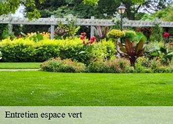 Entretien espace vert