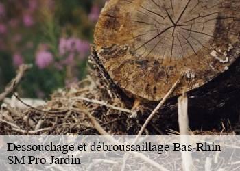 Dessouchage et débroussaillage 67 Bas-Rhin  SM Pro Jardin