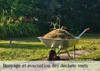 Broyage et évacuation des déchets verts 