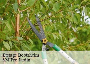 Etetage  bootzheim-67390 SM Pro Jardin