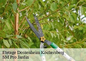 Etetage dossenheim-kochersberg-67117 SM Pro Jardin
