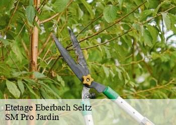 Etetage eberbach-seltz-67470 SM Pro Jardin