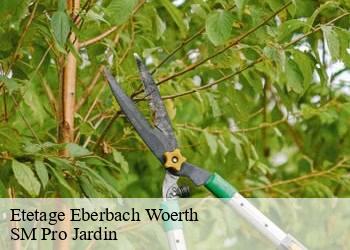 Etetage eberbach-woerth-67110 SM Pro Jardin