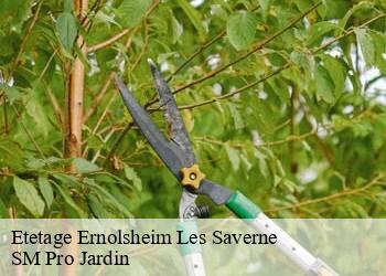Etetage ernolsheim-les-saverne-67330 SM Pro Jardin