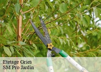Etetage  gries-67240 SM Pro Jardin