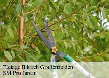 Etetage illkirch-graffenstaden-67400 SM Pro Jardin