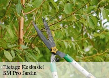 Etetage keskastel-67260 SM Pro Jardin
