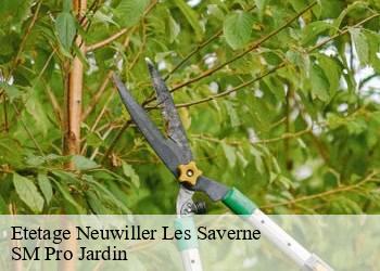 Etetage  neuwiller-les-saverne-67330 SM Pro Jardin
