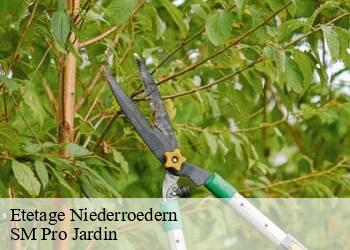Etetage  niederroedern-67470 SM Pro Jardin