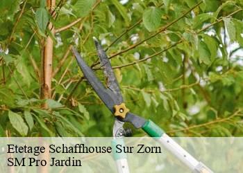 Etetage  schaffhouse-sur-zorn-67270 SM Pro Jardin