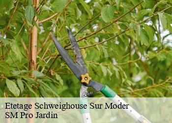 Etetage schweighouse-sur-moder-67590 SM Pro Jardin