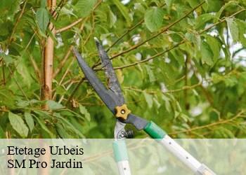 Etetage urbeis-67220 SM Pro Jardin