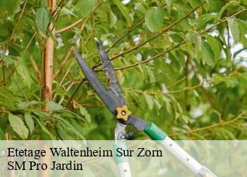 Etetage  waltenheim-sur-zorn-67670 SM Pro Jardin